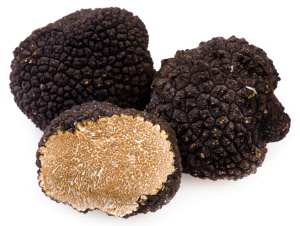 tartufo molisano